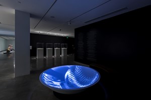 Museum of Contemporary Art Australia, Marjolijn Dijkman, 'Navigating Polarities' (2018). Installation with film projection, wall text. Installation view: 21st Biennale of Sydney, Museum of Contemporary Art Australia, Sydney (16 March–11 June 2018). Courtesy the artist. Photo: Document Photography.